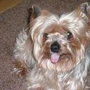 Almudena Jarque Dueñas