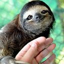 Mónica Alexandra Ángeles Chávez