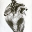 Jose Domingo Mejias Gomez