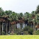 Sandra P. Gonzalez Gutiérrez