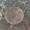 Claudia Millan Carvajal