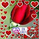 Sandri Leon
