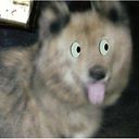 Marcoantonio Luciano Villegas Valdez