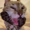 Zuleyka Graziela Velazco Soto