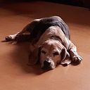 Maria Jose Morera Duran