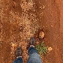 Fernando Adrian Tenreiro Lazo