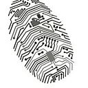 Flavio Metralha Vjfm