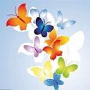 doodlebug67436