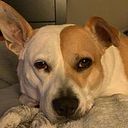 Anne-Marie Kaczorowski