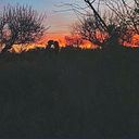 María Eugenia Malervi