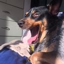 Vania Gomez Castellanos