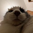 Maya Muñoa Escamilla