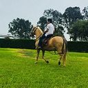 Rogelio G Ccoracc