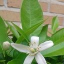 Pilar Sabariegos Moreno