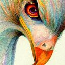 Imelda De Alba Rábago