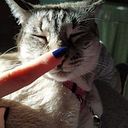 Alicia María Erdozain Lloret