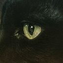 Gloria Nicolas Campillo