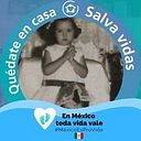 Sue Veraza Whitehead