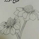 Eman Kassim