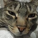 Diana López Martínez