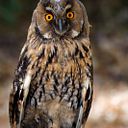 Maria Bernadette Font Echarte