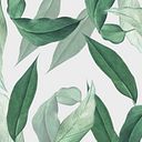 Júlia Domènech Sogsa