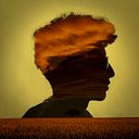 Diego Alonso Huerta Ramirez