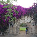 Lutz Frederick Leng Vera