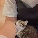 Mirian Pauccar Quispe