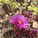 carolinalopezortiz123