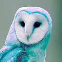 Leonardo Huarcaya Vega