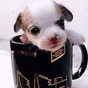 Victor Eugenio Brizuela Gomez