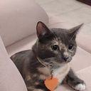 Mónica Natalia Castillo Rodríguez