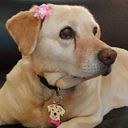 estefaniaavilagarcia1990