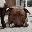 Lely Quintana Zaragoza