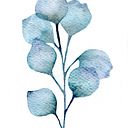 Natalia Rubiano Rodriguez