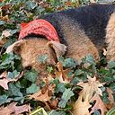 Kristin Clara-Zemper