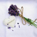 ilona_koulova