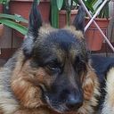 Nuria Garcia Hernandez