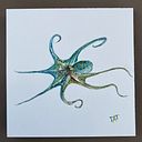 Catherine Comte Bellemin