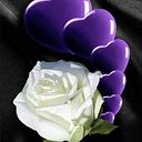 Yaneth Mansilla Chavez