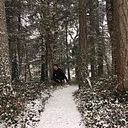 Nelson Javier Alemán Batres