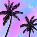 Samantha Villamil Fajardo