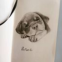 Simonetta ImprontaSB