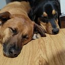 jimenaalexandravelasquez