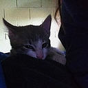 catarinamarianaborquez