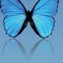 Derly Poveda Pilonieta