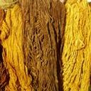 Oriana Saez Olas de Lanas