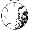 cviteg171