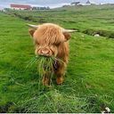 Eliana Javiera Tromilen